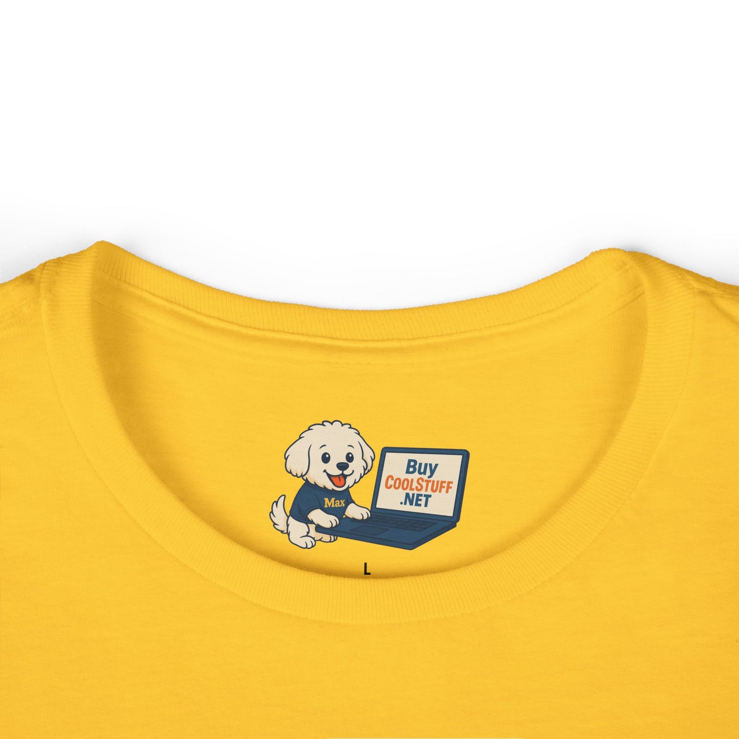 Social Worker Women's Softstyle Tee - Inspirational Quote Tee for Social Workers