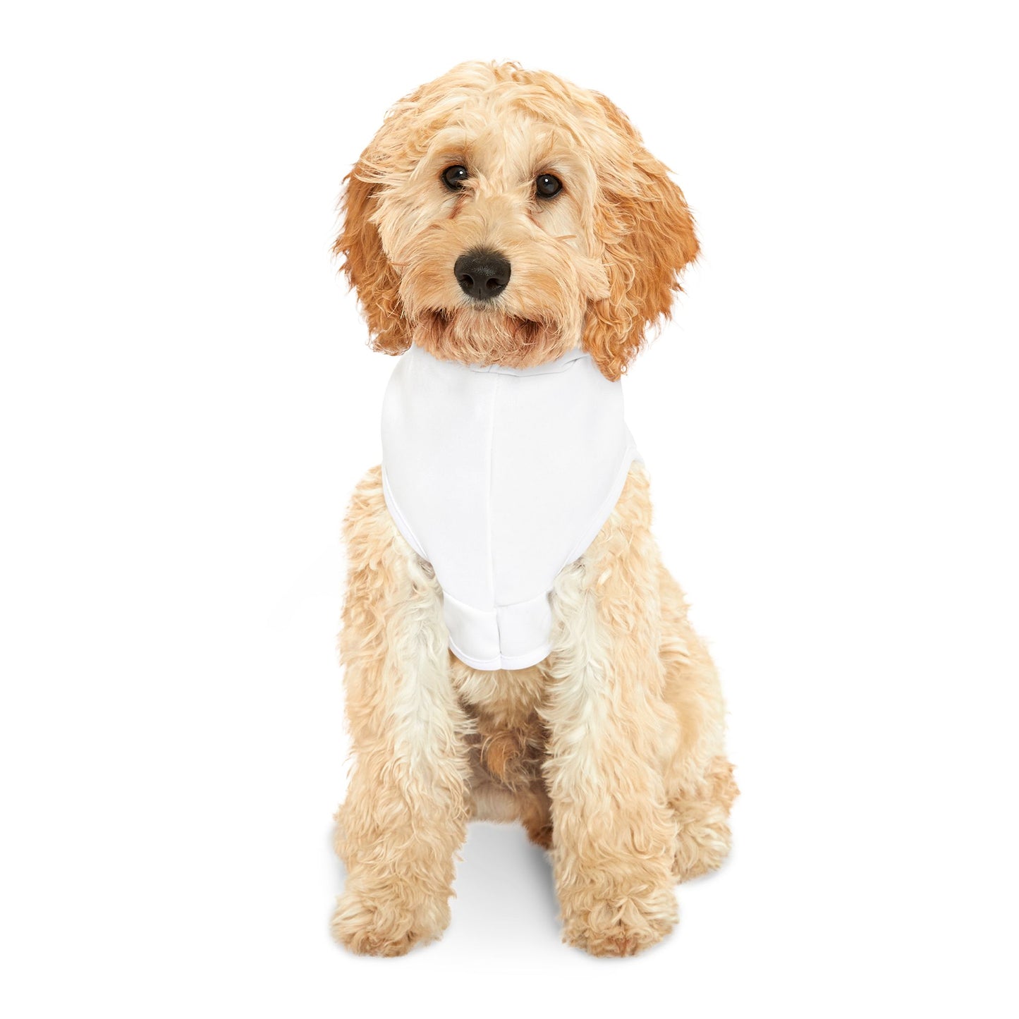 Let's Go Dodgers! Pet Hoodie - Your Furry Friend's Game Day Outfit! Go Dodgers